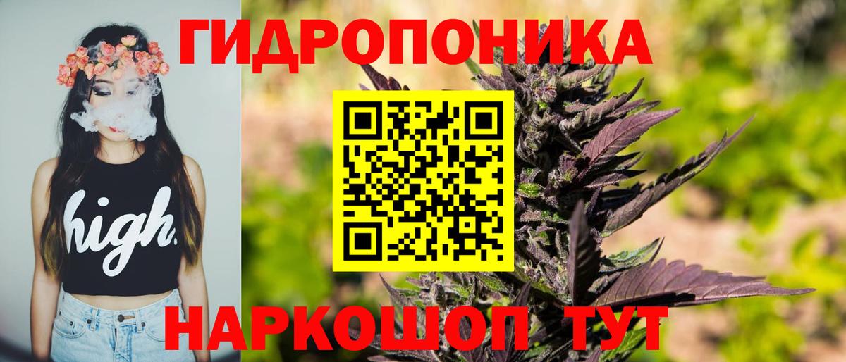 Тара  МАРИХУАНА ГИДРОПОН  Вход с VPN  МАРИХУАНА гибрид  Шишки марихуана THC 21% 